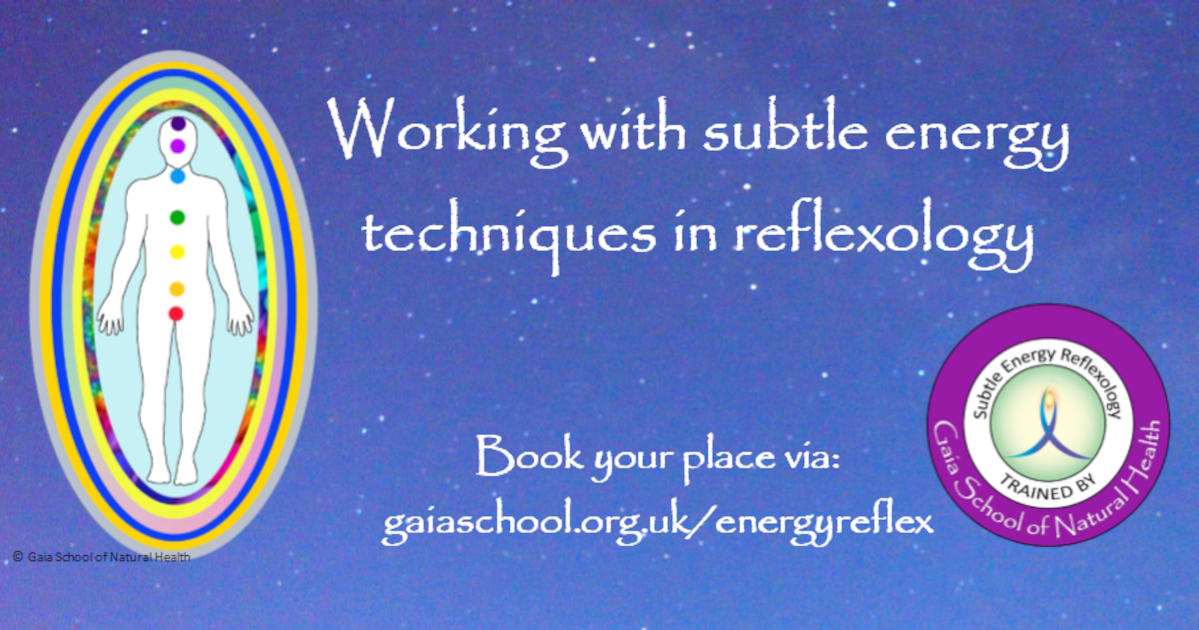 Subtle Energy workshop 
