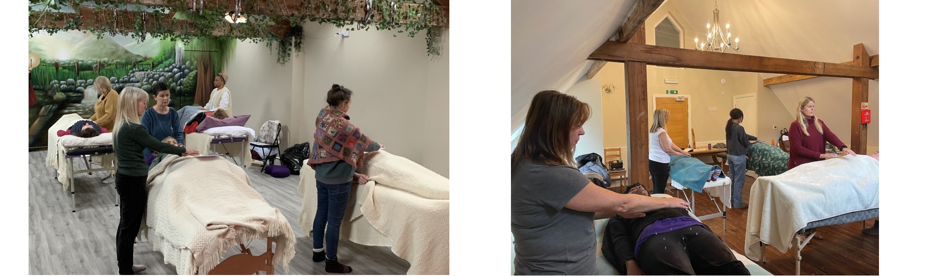 Reiki Practitioner course